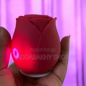 Vibromasseur Stimulateur Forme Rose. Silencieux Et Pratique