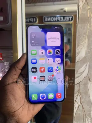 Pomme iPhone 13 Pro Max 256 GB Blanc