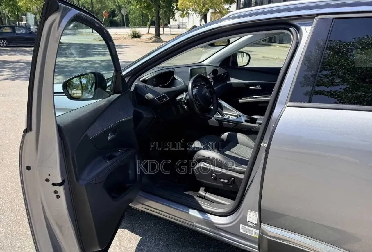 Peugeot 3008 2019 Gris