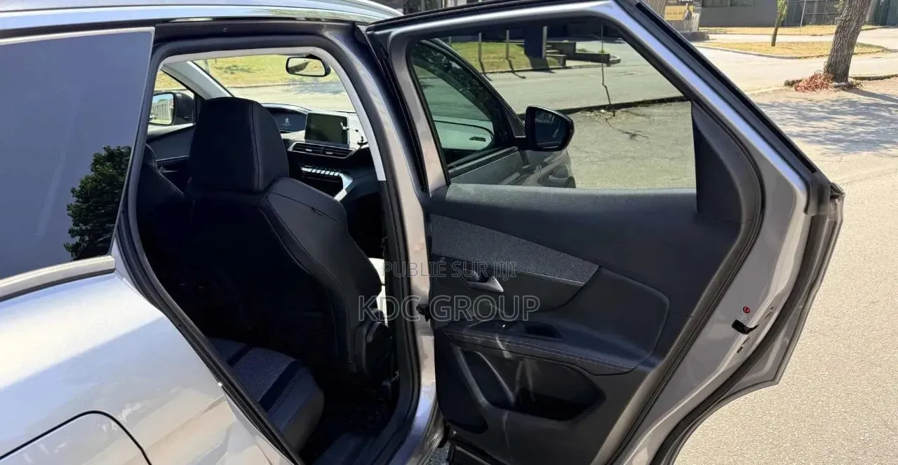 Peugeot 3008 2019 Gris