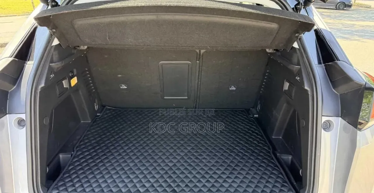 Peugeot 3008 2019 Gris
