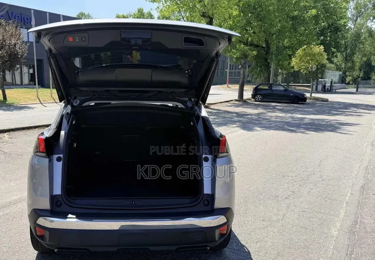 Peugeot 3008 2019 Gris