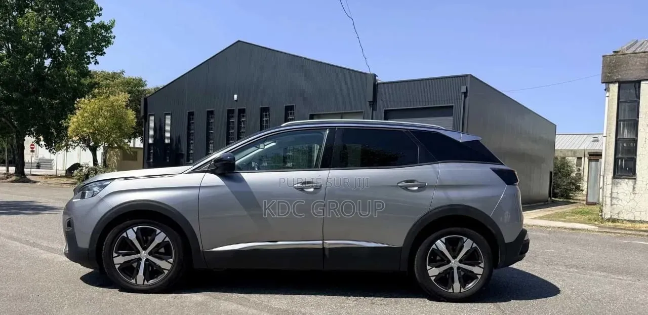 Peugeot 3008 2019 Gris