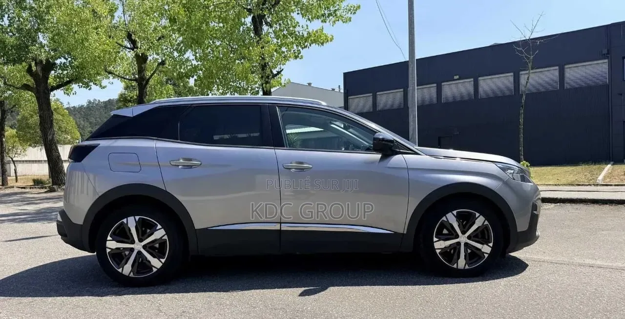 Peugeot 3008 2019 Gris