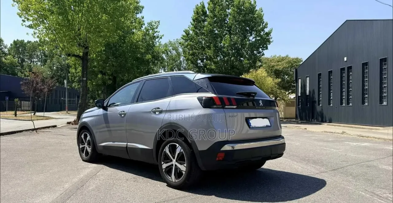 Peugeot 3008 2019 Gris