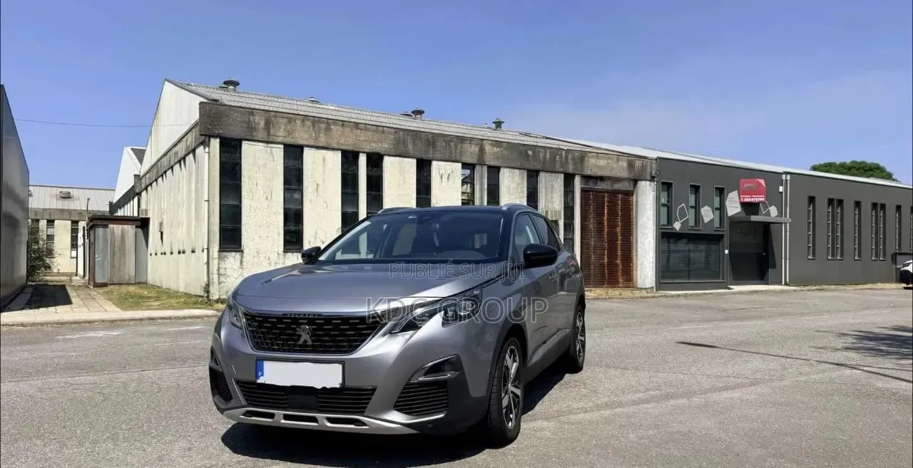 Peugeot 3008 2019 Gris