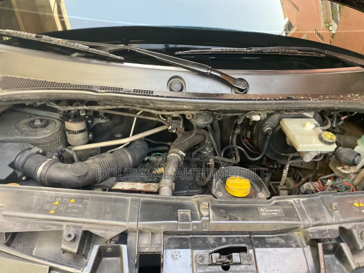 Renault 10 2019 Blanc