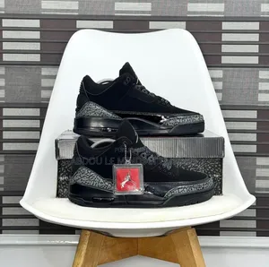 Chaussure Air Jordan 3 Rétro All Color Disponible