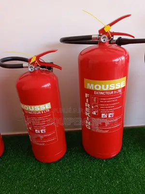 Vente Des Extincteurs À Poudre Abc & Co2