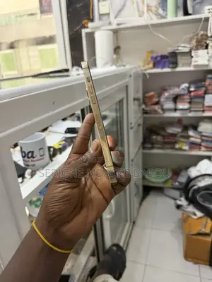 Nouveau Pomme iPhone 12 Pro Max 128 GB Doré