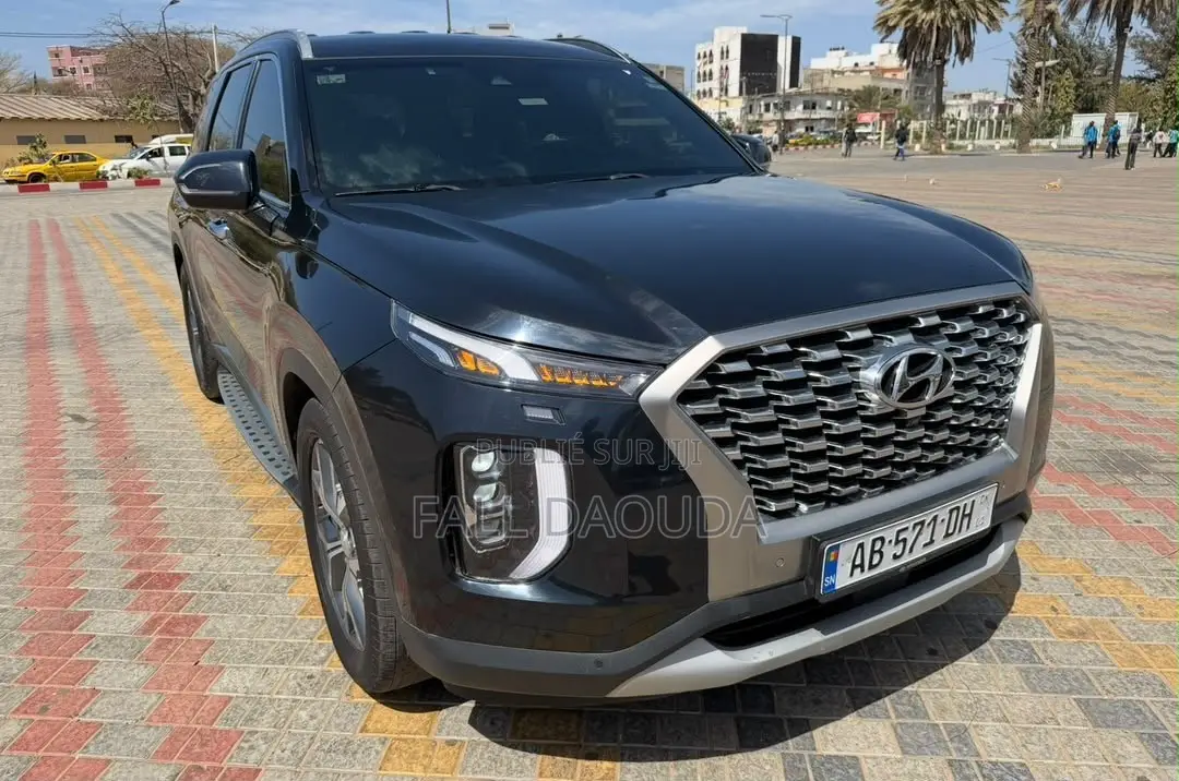 Hyundai Palissade 2019 Noir