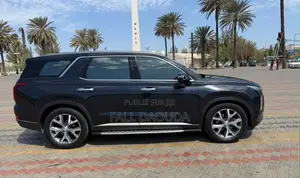 Hyundai Palissade 2019 Noir