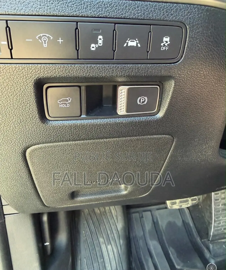 Hyundai Palissade 2019 Noir