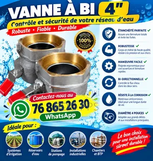 Vanne À Bi 4"