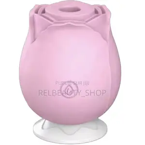Vibromasseur Stimulateur Clitoridien