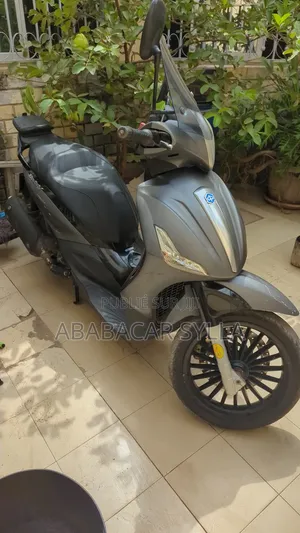 Piaggio Trotinette 2021 Gris