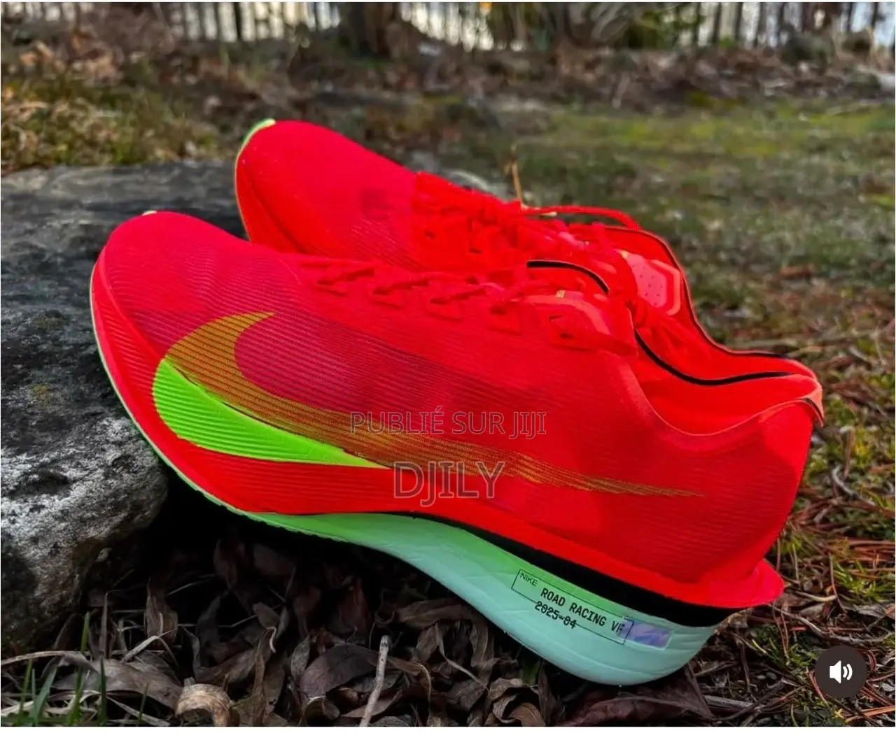 Djily Shoes