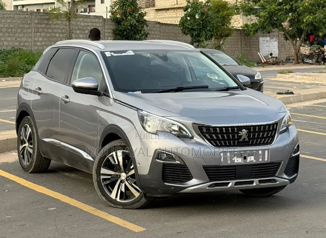 Peugeot 3008 2017 Gris