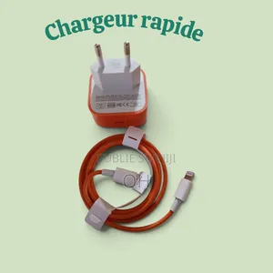 Original Chargeur Rapide USB-C PD 60W Avec Câble iPhone