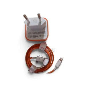 Original Chargeur Rapide USB-C PD 60W Avec Câble iPhone