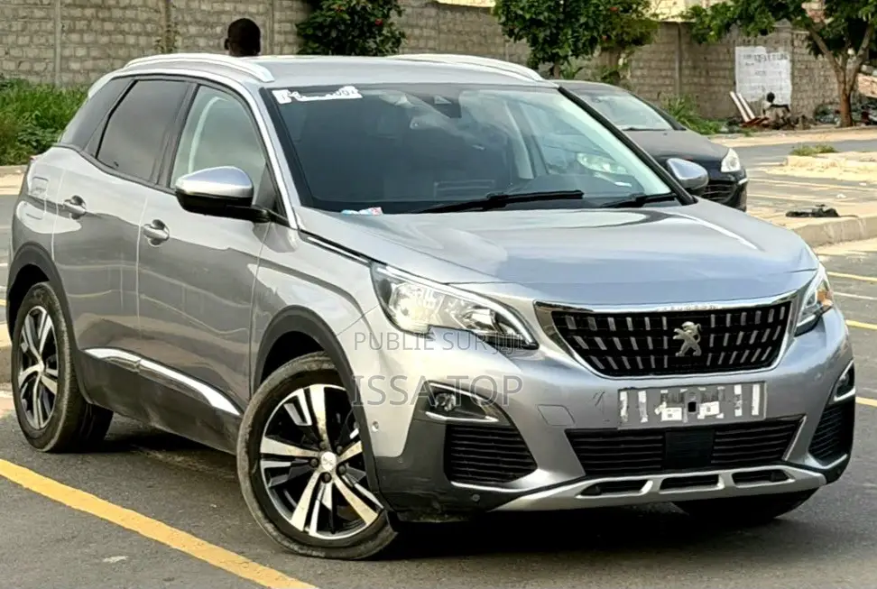 Peugeot 3008 2019 Gris