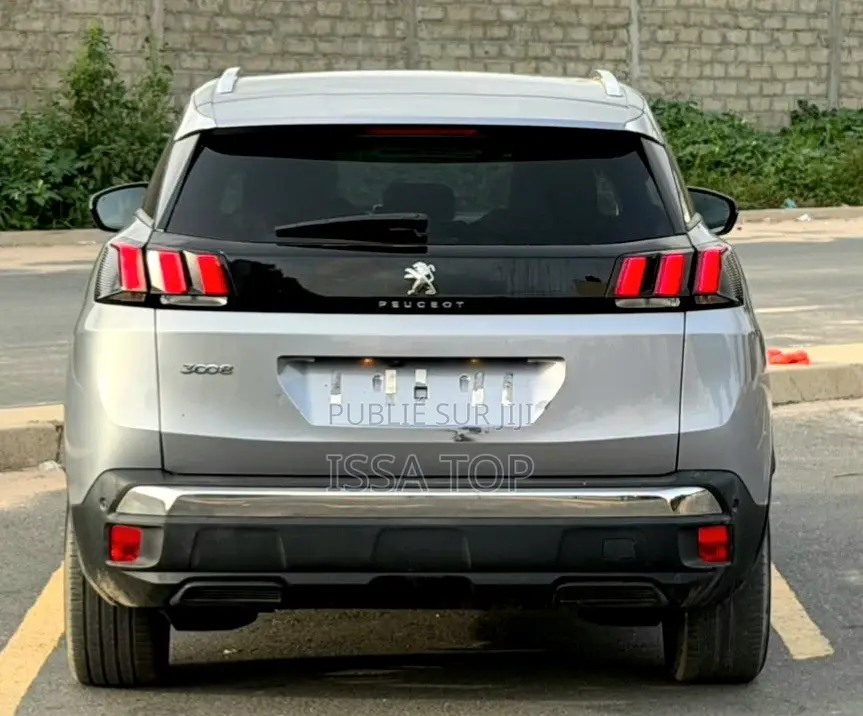 Peugeot 3008 2019 Gris