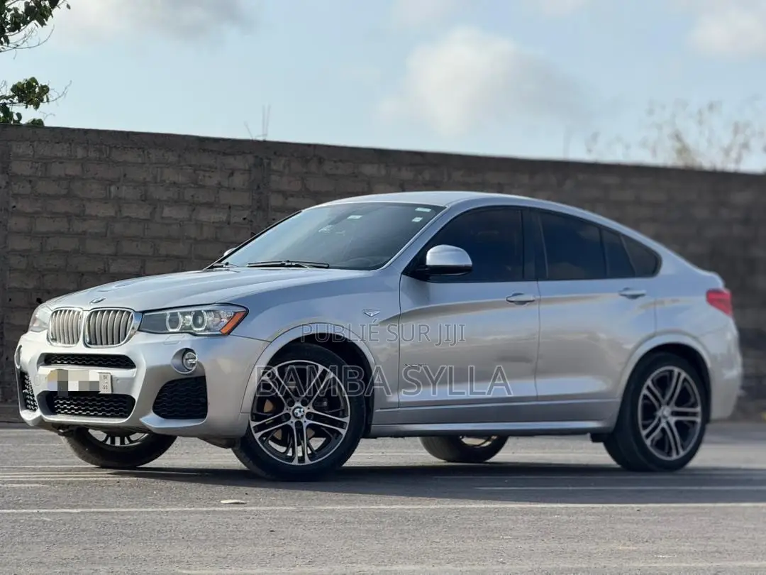 BMW X4 xDrive28i 2017 Gris
