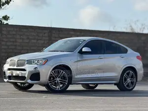 BMW X4 xDrive28i 2017 Gris