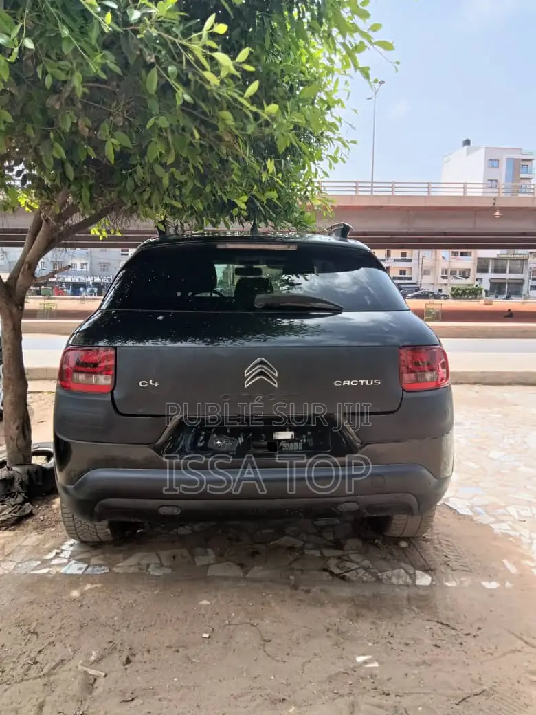 Citroen C4 2017 Gris