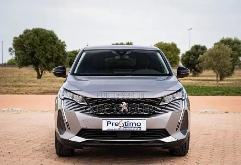 Peugeot 3008 2022 Gris