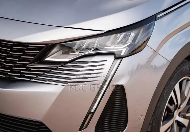 Peugeot 3008 2022 Gris