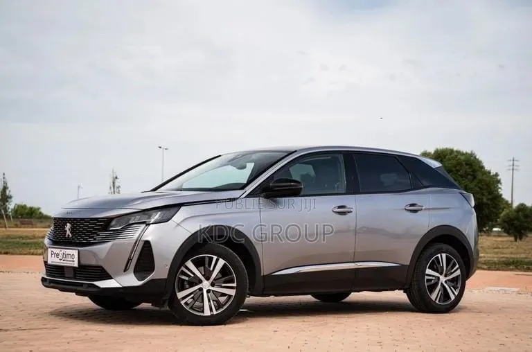 Peugeot 3008 2022 Gris