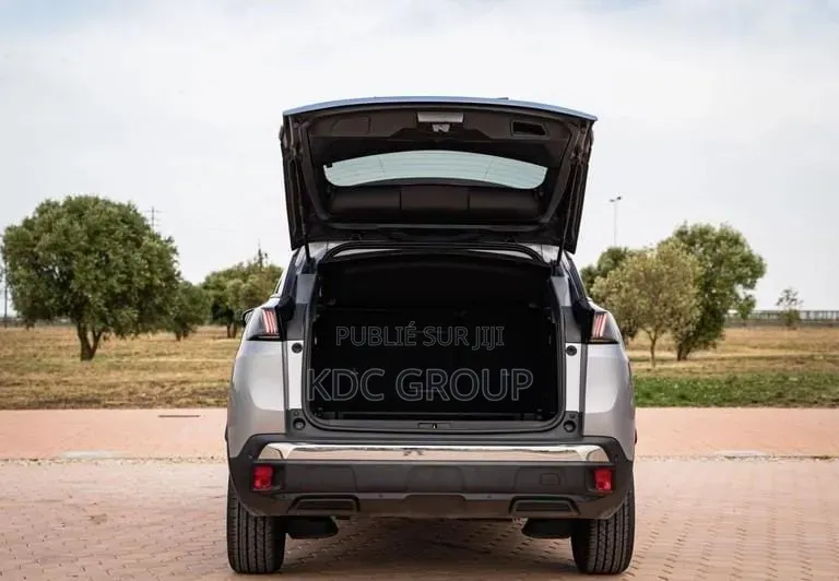 Peugeot 3008 2022 Gris