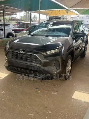 Toyota RAV4 LE AWD 2020 Gris