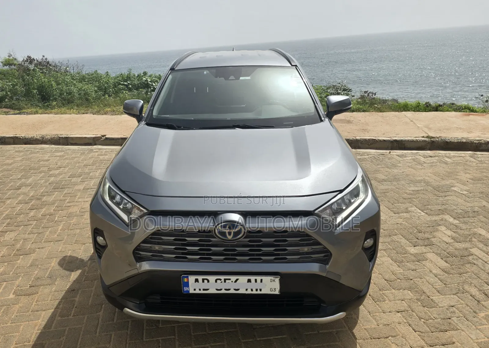 Toyota RAV4 2020 Gris