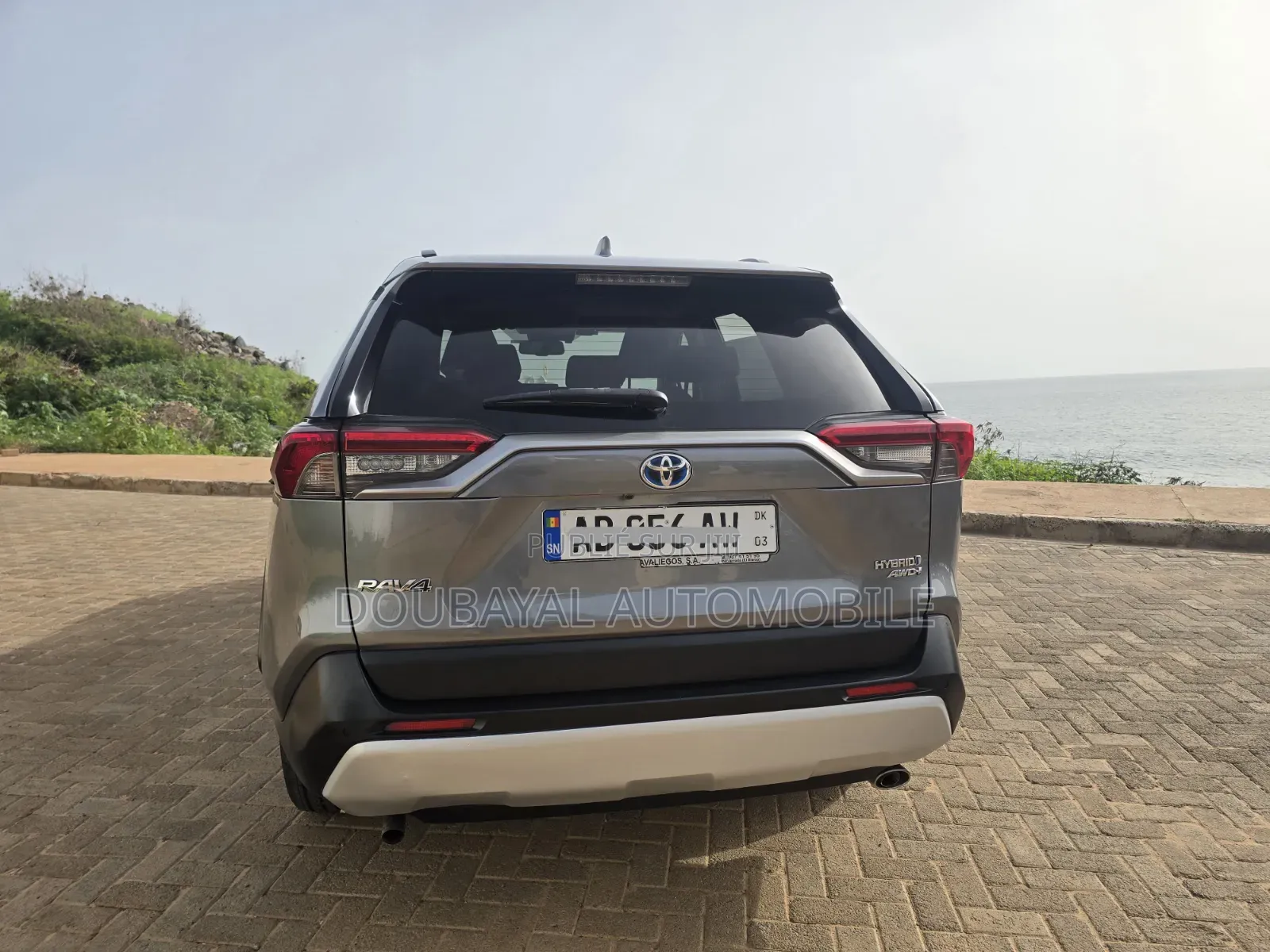 Toyota RAV4 2020 Gris