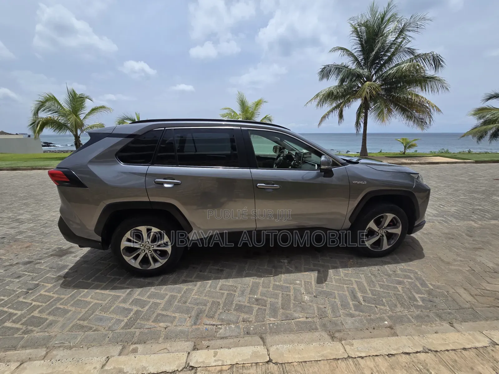 Toyota RAV4 2020 Gris
