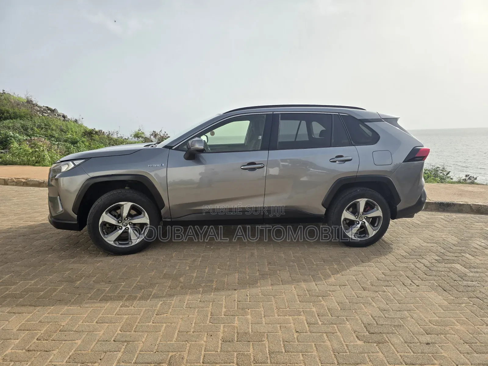 Toyota RAV4 2020 Gris