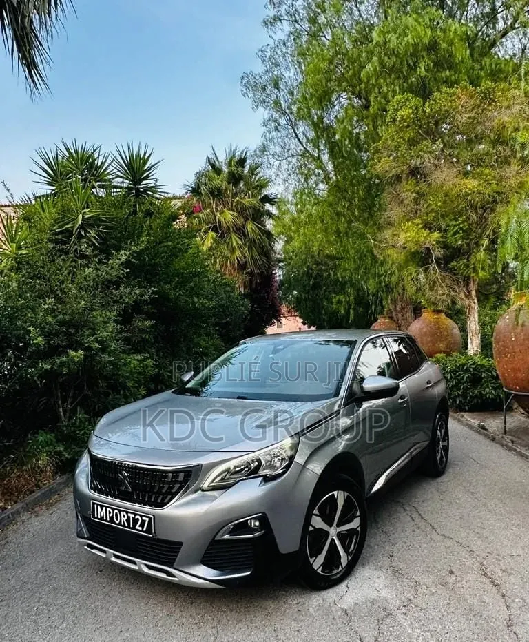 Peugeot 3008 2018 Gris
