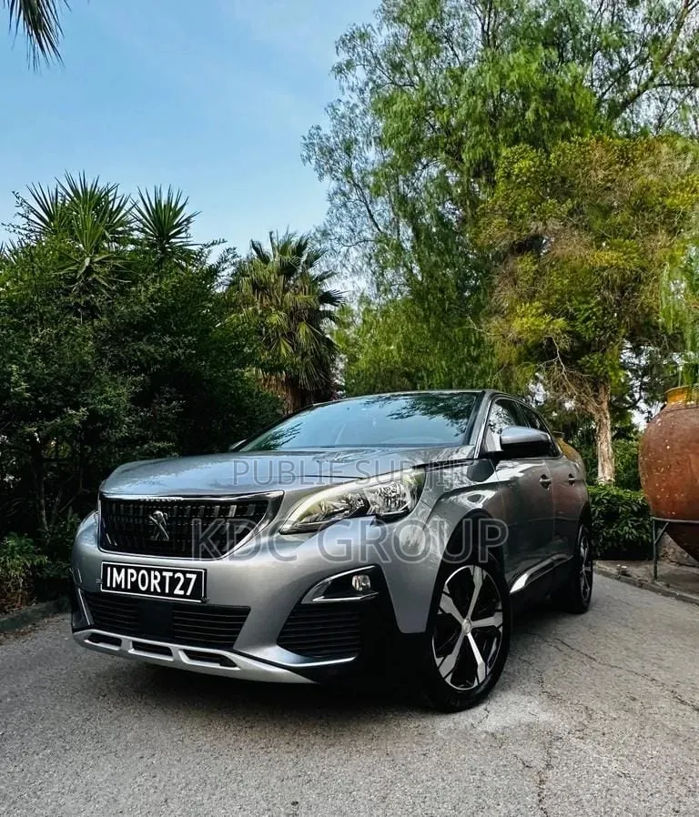 Peugeot 3008 2018 Gris