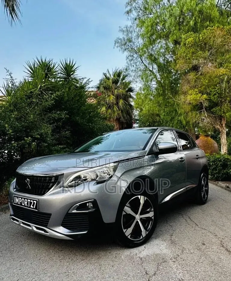Peugeot 3008 2018 Gris