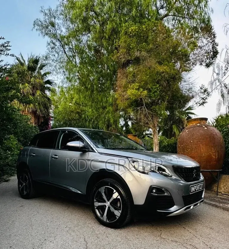 Peugeot 3008 2018 Gris