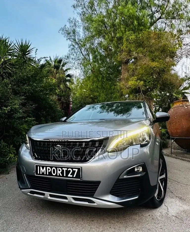 Peugeot 3008 2018 Gris