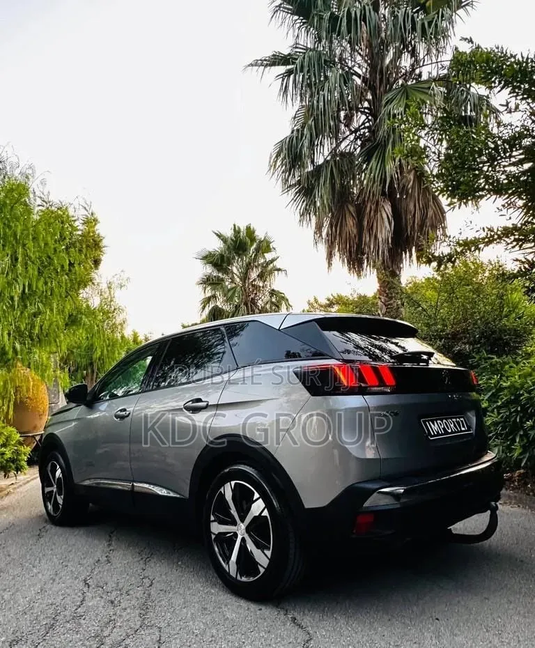 Peugeot 3008 2018 Gris