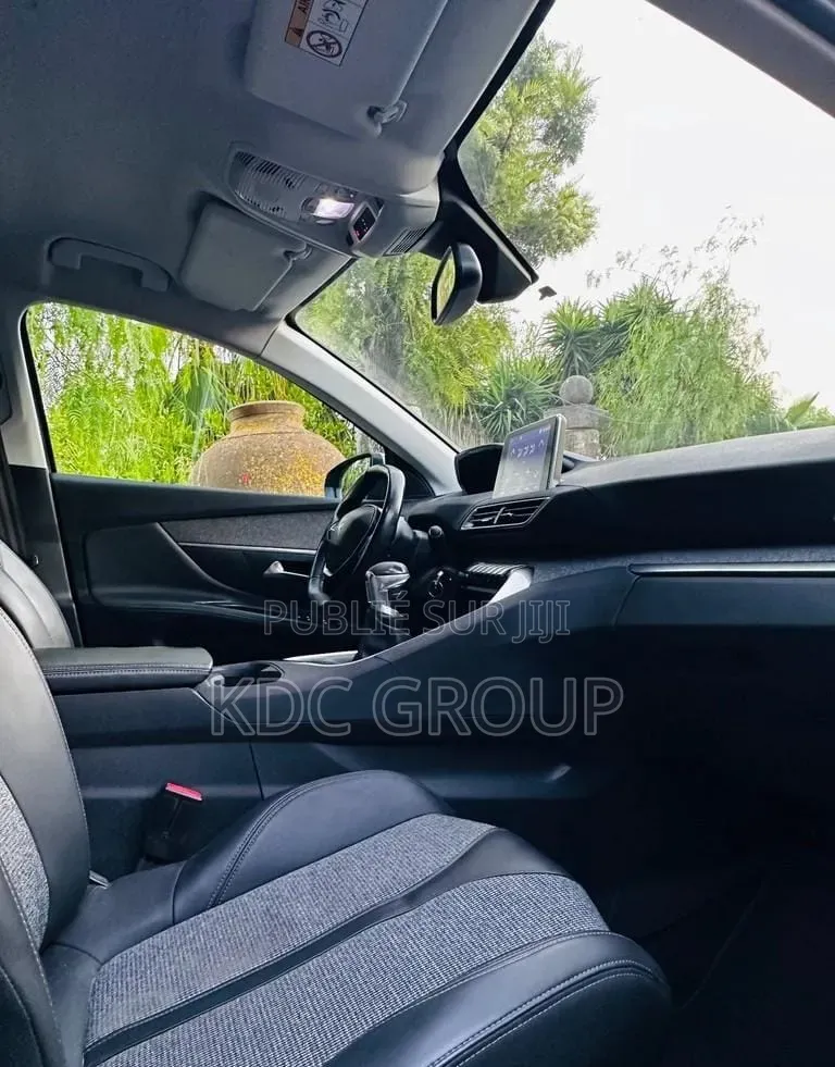 Peugeot 3008 2018 Gris
