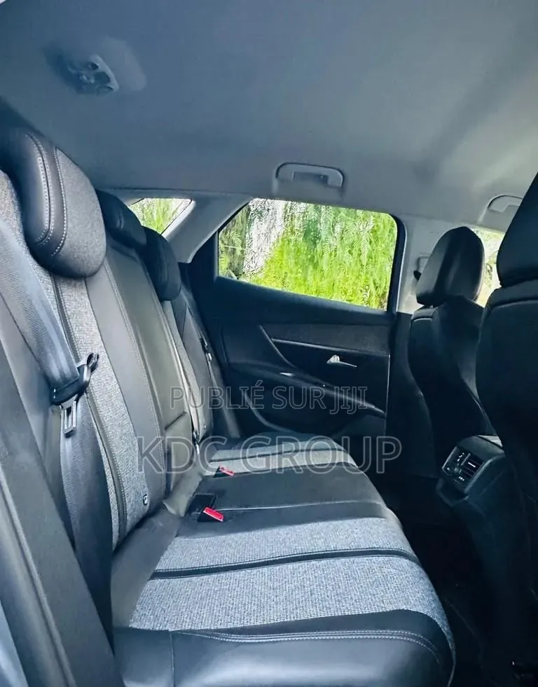 Peugeot 3008 2018 Gris