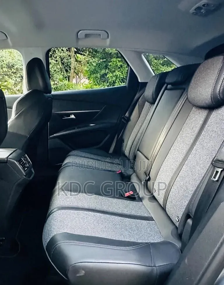Peugeot 3008 2018 Gris