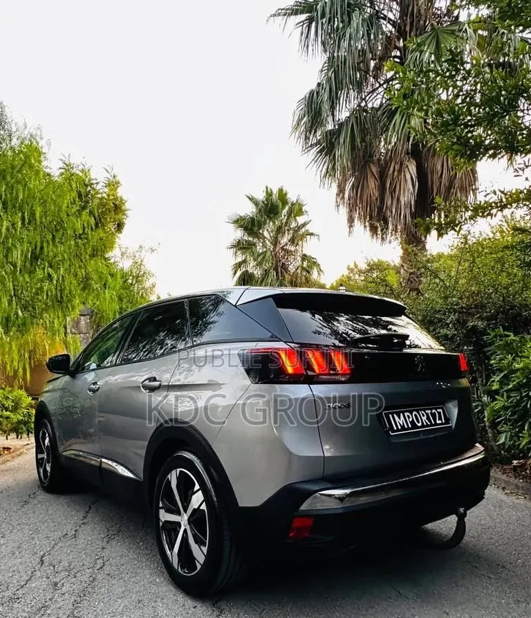 Peugeot 3008 2018 Gris