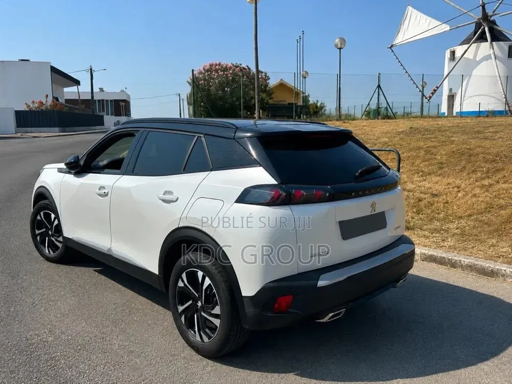 Peugeot 2008 2020 Blanc