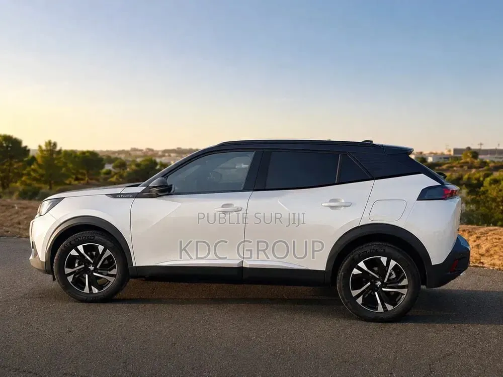 Peugeot 2008 2020 Blanc